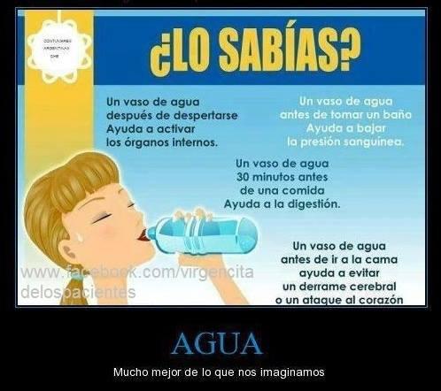 Para bajar de peso lo mas rapido posible ellas hemos explicado para bajar de peso lo mas rapido posible