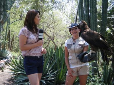 Africa Safari Puebla on Tp   Tvc En Africam Safari   Africam Safari En Puebla   Todopuebla Com