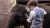 Zoo: Misión Elefante