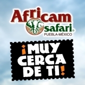 Logotipo - Africam Safari
