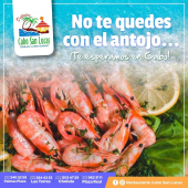 “Vive el sabor de la costa en tu ciudad”  - Restaurante Cabo San Lucas