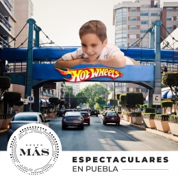 Espectaculares en Puebla

Imagínate volverte un carrito de juguete. Con esta campaña de publicidad...