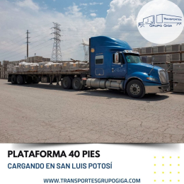 Transportes Grupo Giga - Puebla