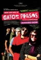 Los Gatos Persas