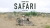 Safari