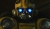 Bumblebee