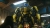 Bumblebee