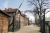Paraíso en Auschwitz