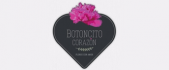 Florería Botoncito Corazón Florería Botoncito Corazón