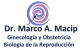 Ginecología y Obstetricia - Dr. Marco Antonio Macip Meza Ginecología y Obstetricia - Dr. Marco Antonio Macip Meza