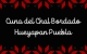 Cuna del chal bordado Hueyapan Puebla
