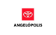 Agencia de Autos Toyota Puebla y Apizaco - Grupo Excelencia
