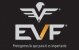 EVF - Registro de Marcas y Patentes EVF - Registro de Marcas y Patentes