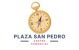 Centro Comercial Plaza San Pedro