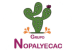 Grupo Noaplyecac