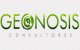 Geonosis Consultores