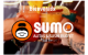 Sumo Buffet Puebla