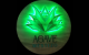 Agave Mestizo