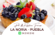 Dély D´or, Pan y Repostería Francesa Dély D´or, Pan y Repostería Francesa