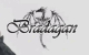 Trajes Bradagan