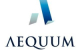 Grupo AEQUUM