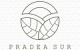 Plaza Pradea Sur