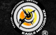 EAGLE MOTORS