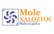 Mole Xalóztoc (mole en polvo)