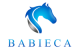 Centro Ecuestre Babieca