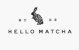Hello Matcha