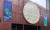 Museo de la Evolución