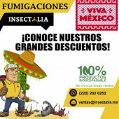 Insectalia Fumigaciones - Control de Plagas en Puebla