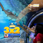 Acuario Michin Puebla
