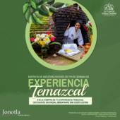 Hotel Boutique & Spa La Casona de Don Porfirio