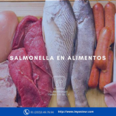 Laboratorio de Microbiología Pasteur - Laboratorio de Análisis de Alimentos