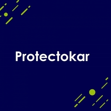 Logotipo - Protectokar