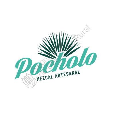 Logotipo - Mezcal Pocholo