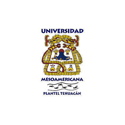 Logotipo - Universidad Mesoamericana Plantel Tehuacán
