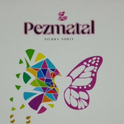 Logotipo - PEZMATAL
