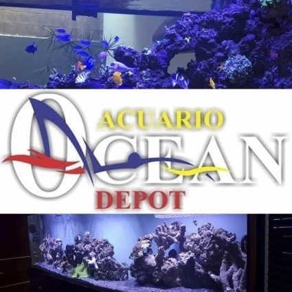 Logotipo - Acuario Ocean Depot