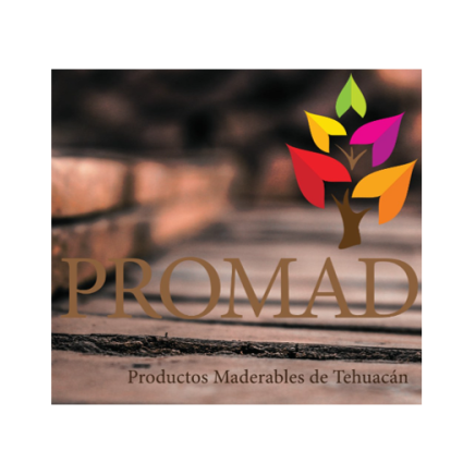 Logotipo - ProMad Tehuacán