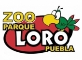Logotipo - Zoo Parque Loro