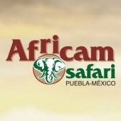 Logotipo - Africam Safari