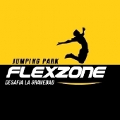 Logotipo - Flexzone - Jumping Park