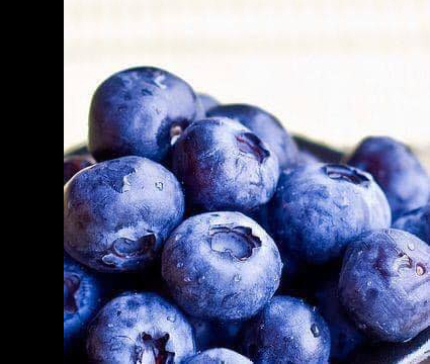 BERRIES CLUB