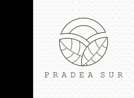Plaza Pradea Sur