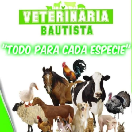 Veterinaria Bautista