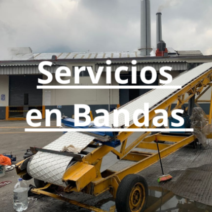 Servicios en Bandas