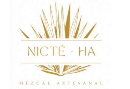 N1CTE-HA