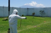 Técnicos certificados con equipo y material de la mejor calidad para brindar un excelente servicio - Pest BioControl Fumigaciones y Control de Plagas